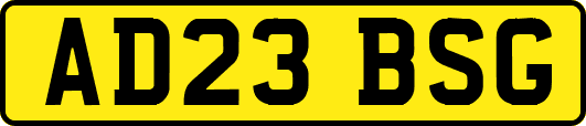 AD23BSG