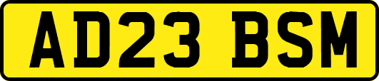 AD23BSM