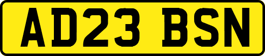AD23BSN