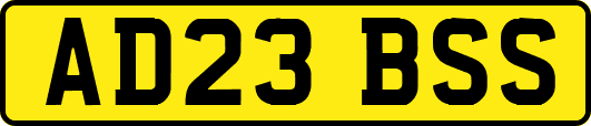 AD23BSS