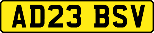 AD23BSV