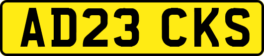 AD23CKS