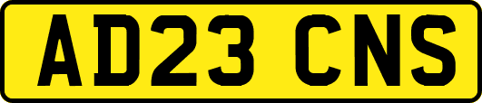 AD23CNS