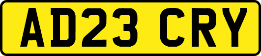 AD23CRY
