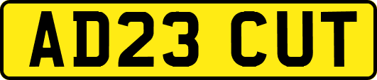 AD23CUT