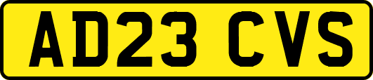 AD23CVS