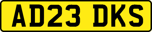 AD23DKS