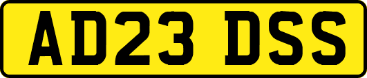 AD23DSS