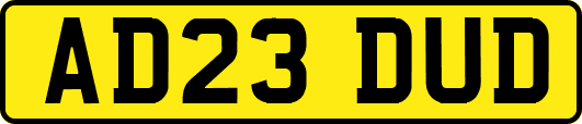 AD23DUD