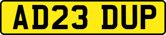 AD23DUP