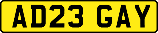 AD23GAY