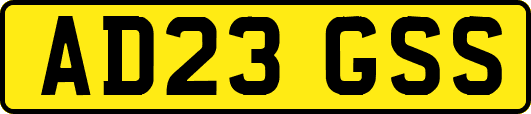 AD23GSS