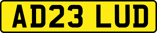 AD23LUD