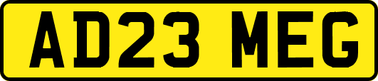 AD23MEG