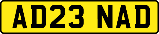 AD23NAD