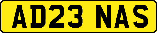 AD23NAS