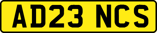 AD23NCS