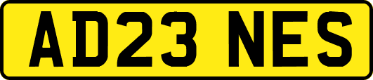 AD23NES