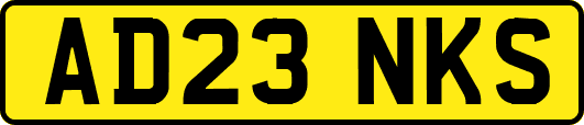 AD23NKS