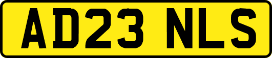 AD23NLS