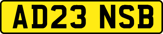 AD23NSB