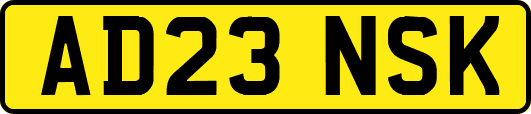 AD23NSK
