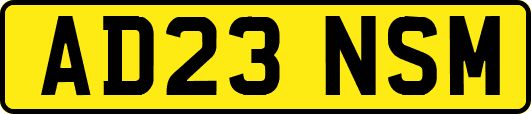 AD23NSM