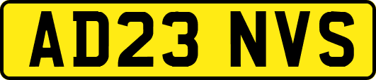 AD23NVS
