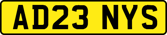 AD23NYS