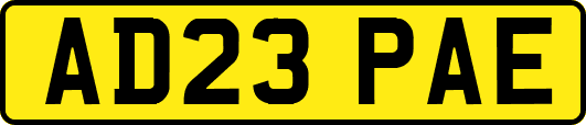 AD23PAE