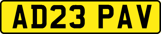 AD23PAV