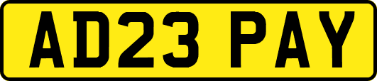 AD23PAY
