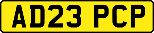 AD23PCP