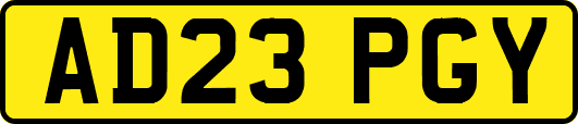 AD23PGY