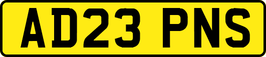 AD23PNS