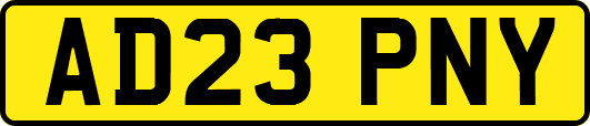 AD23PNY