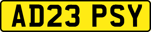 AD23PSY
