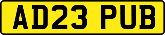 AD23PUB