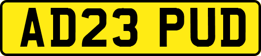 AD23PUD