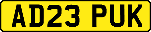 AD23PUK