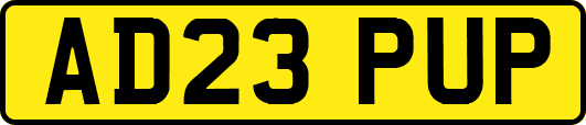 AD23PUP