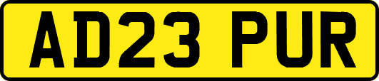 AD23PUR