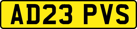 AD23PVS