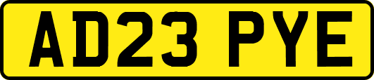 AD23PYE