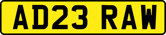 AD23RAW
