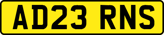 AD23RNS