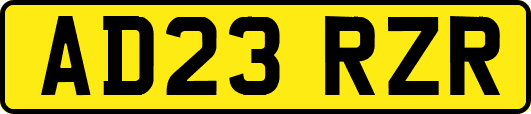AD23RZR