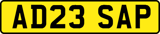 AD23SAP