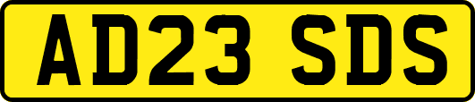 AD23SDS