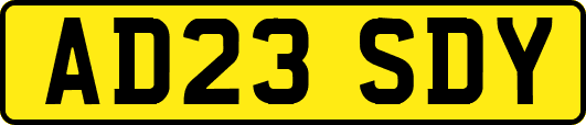 AD23SDY